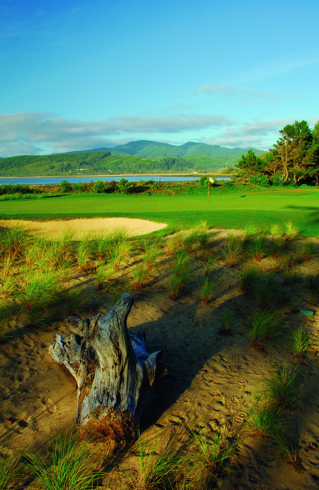 Resort Salishan Coastal 4*