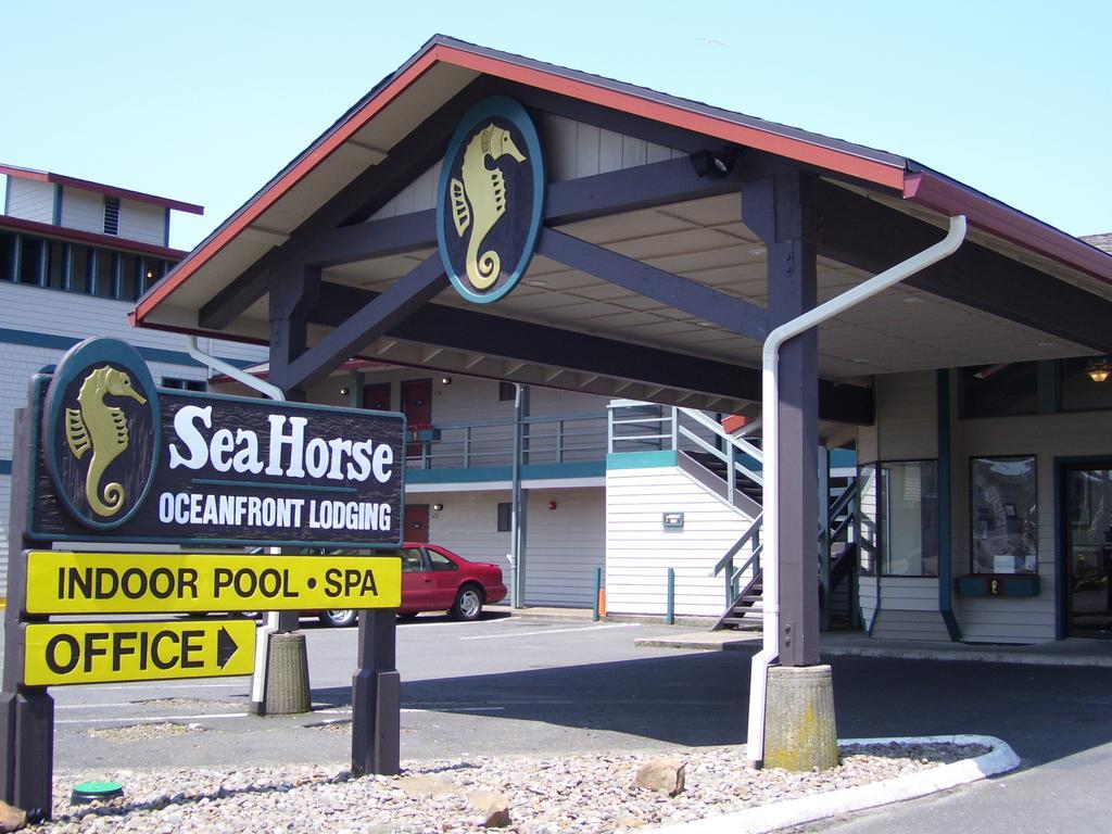 Sea Horse Ocean Front