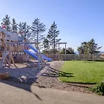 Driftwood Star