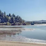 Sea Forever