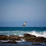 The Coho Oceanfront Lodge