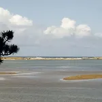 Baywood Shores B&B