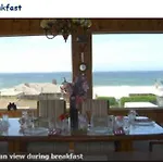 Breyhouse B&B
