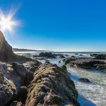 Sea Breeze