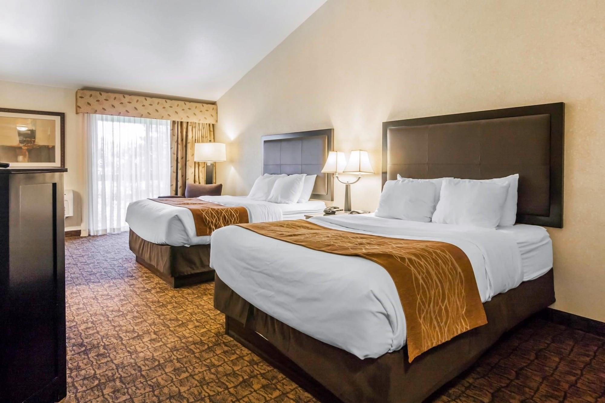 Comfort & Hotel