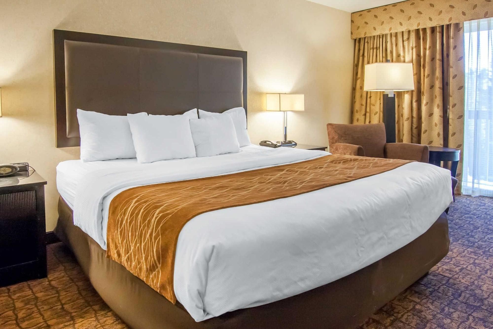 Comfort & Hotel