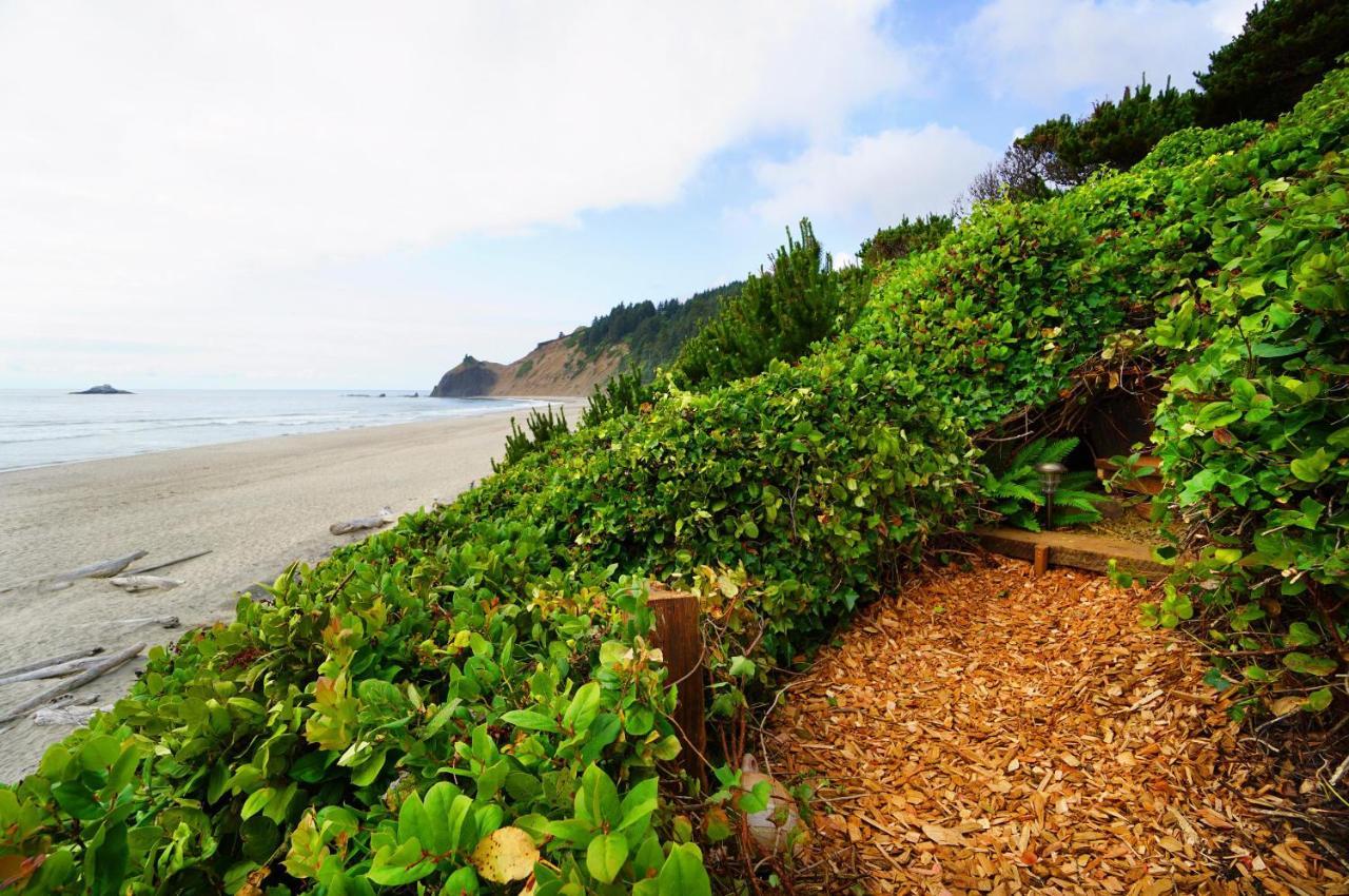 Salal Bluff *