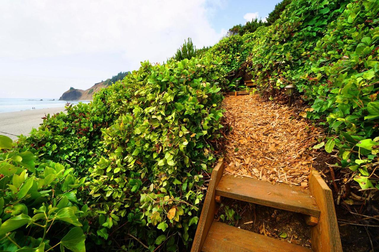 Salal Bluff