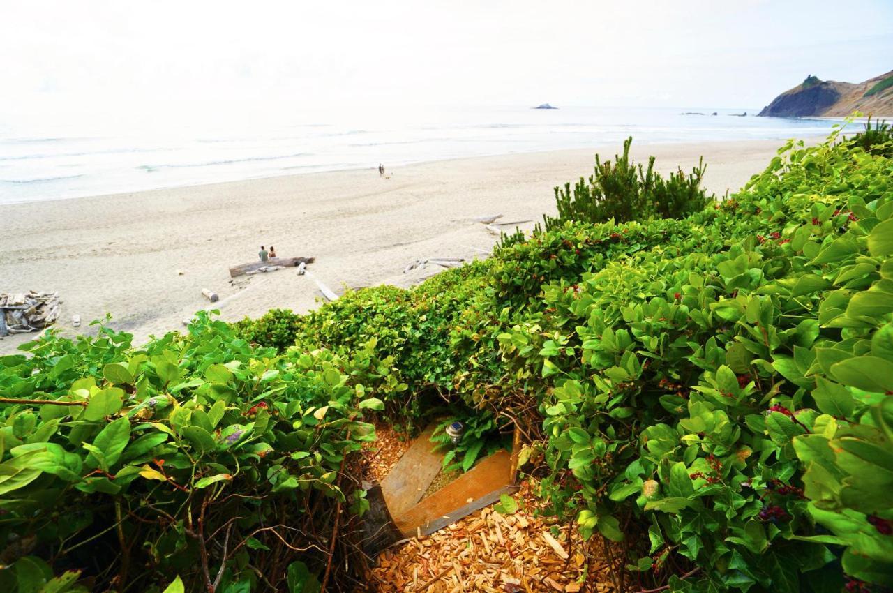 Salal Bluff