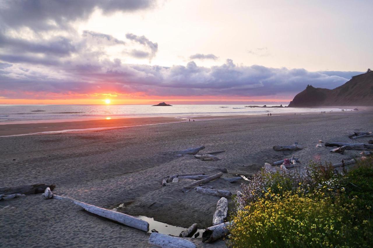 Salal Bluff