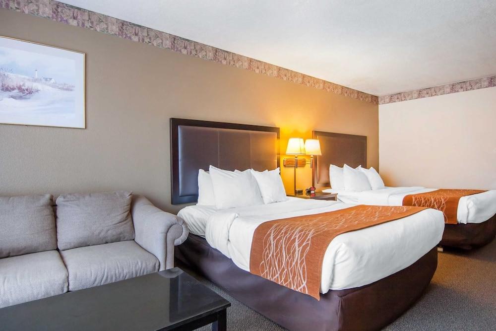 Comfort & Hotel