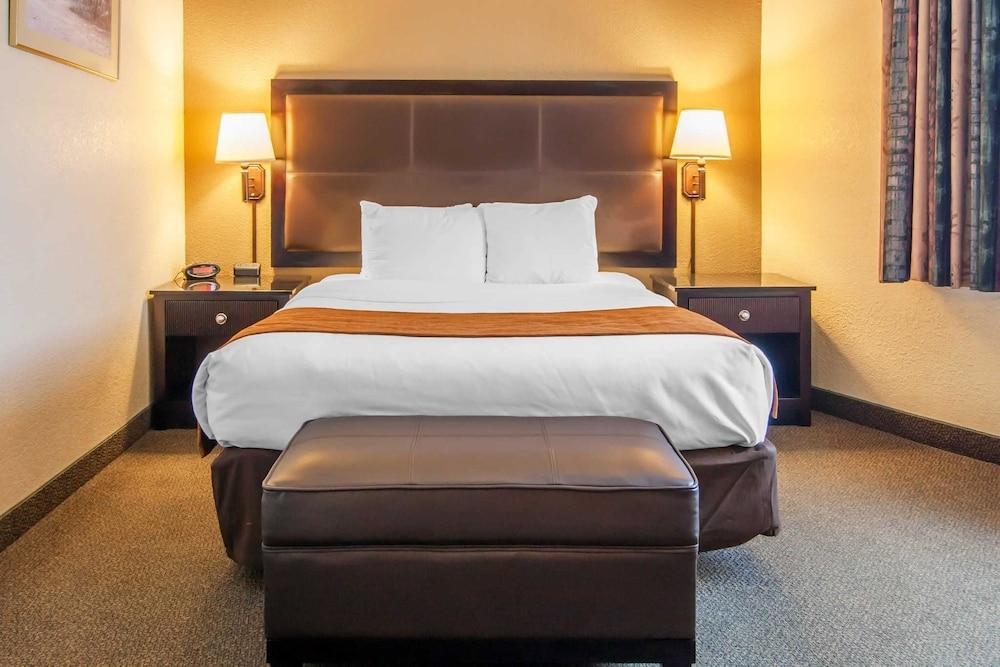 Comfort & Hotel