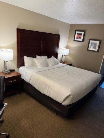 Comfort & Hotel