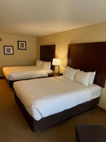 Comfort & Hotel