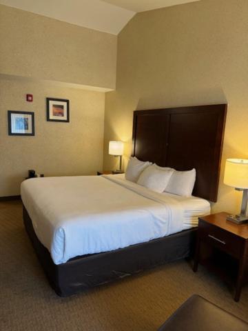 Hotel Comfort &