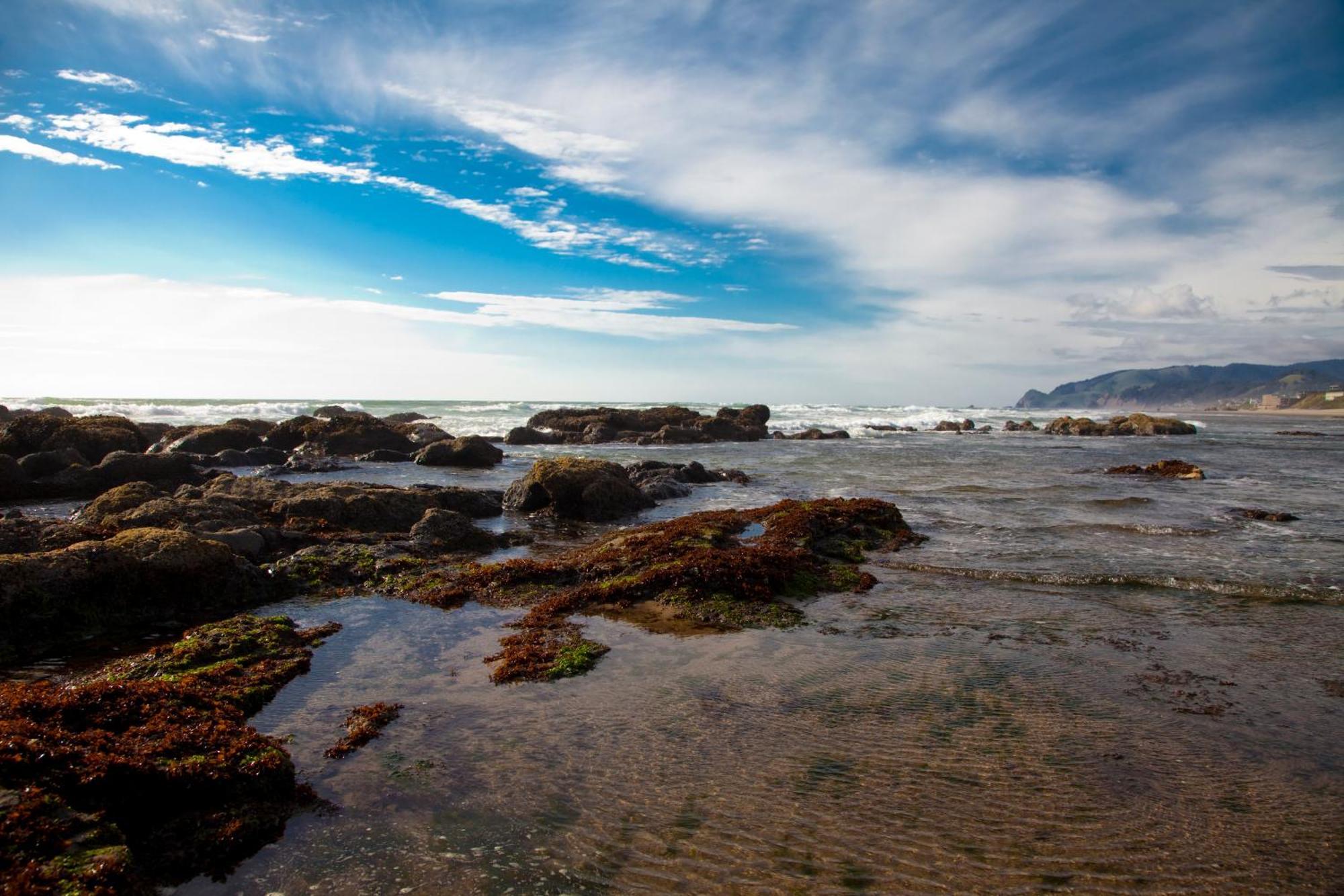 The Coho Oceanfront 4*