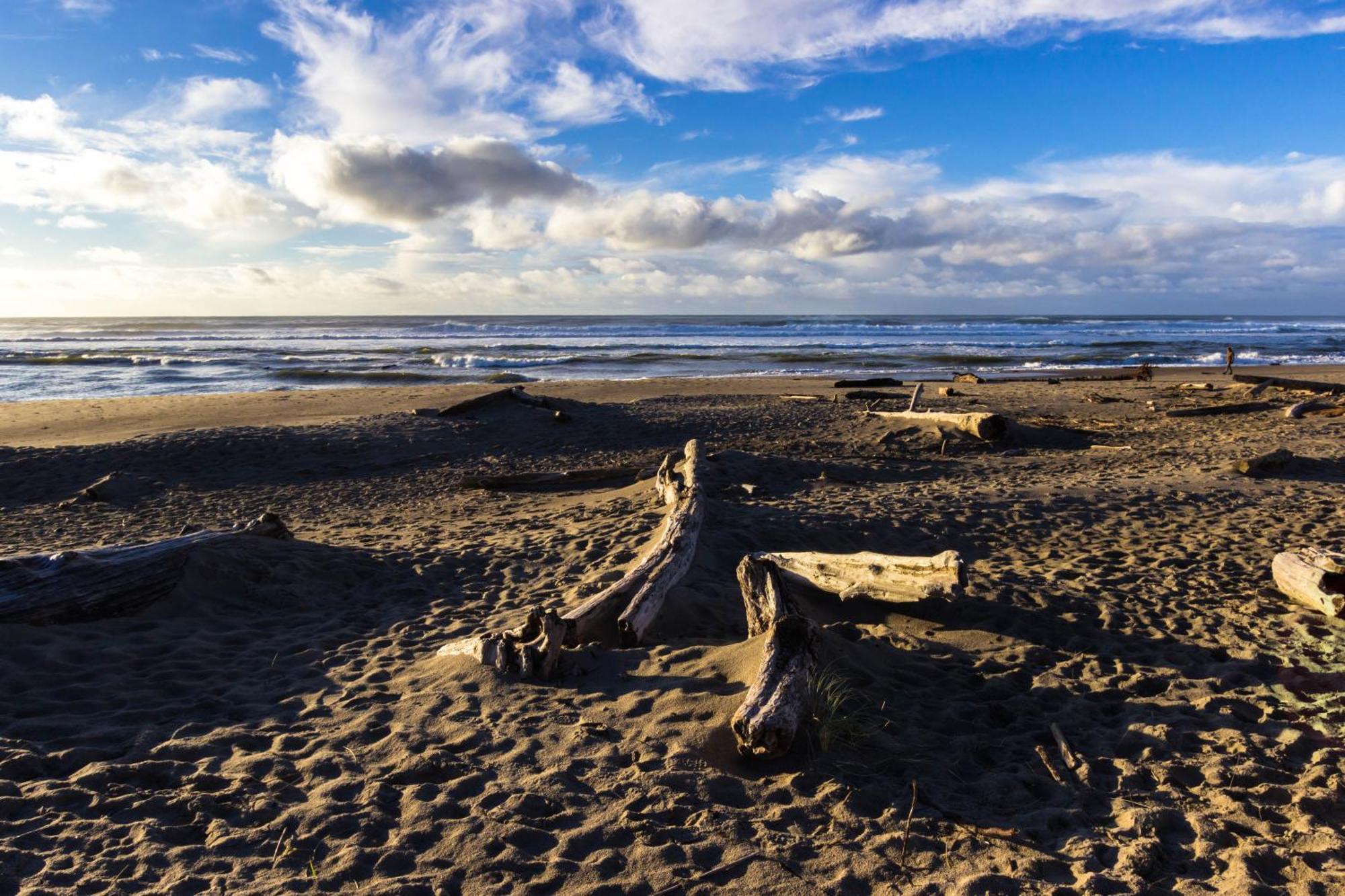 The Whale At Sandstone Point Apartment Lincoln City