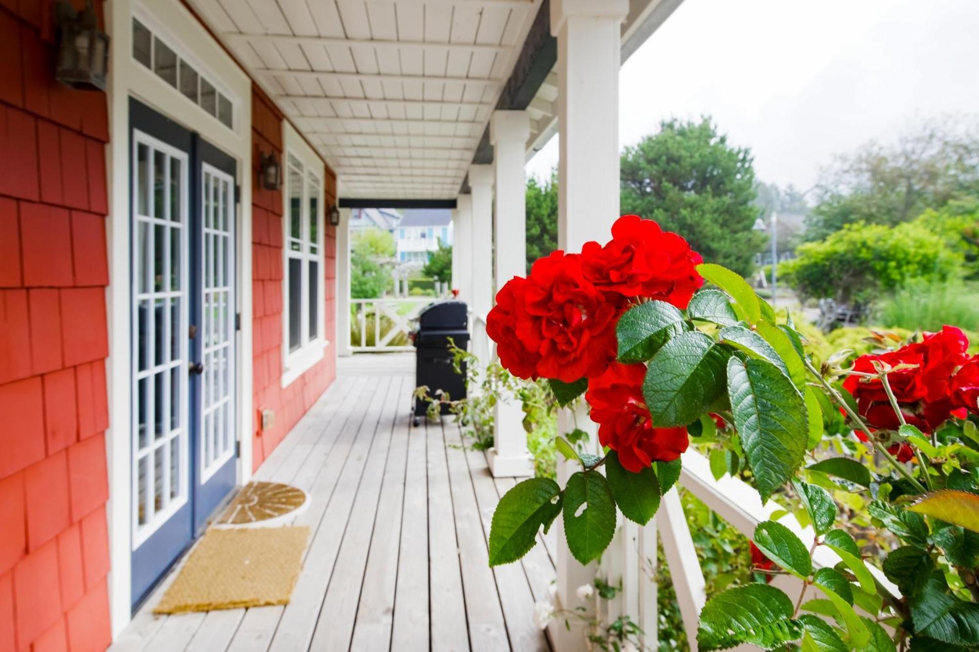 Olivia's Rose * Lincoln City