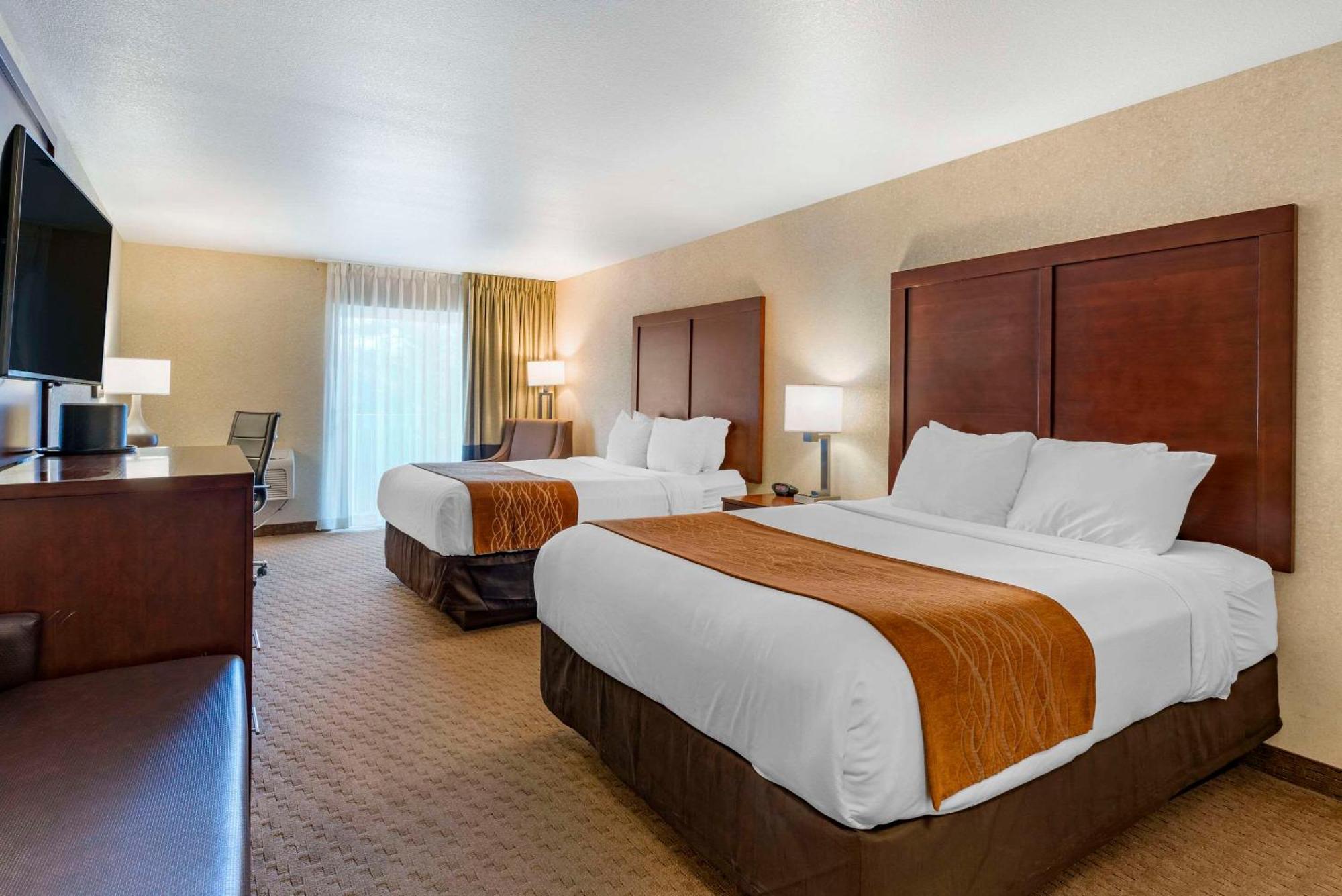 Hotel Comfort & 3*