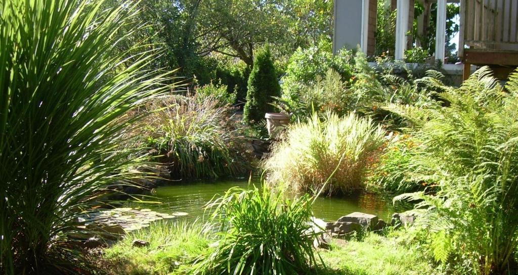 Bed & Breakfast Salmonberry & House Lincoln City