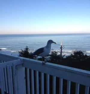Motel Edgecliff Lincoln City