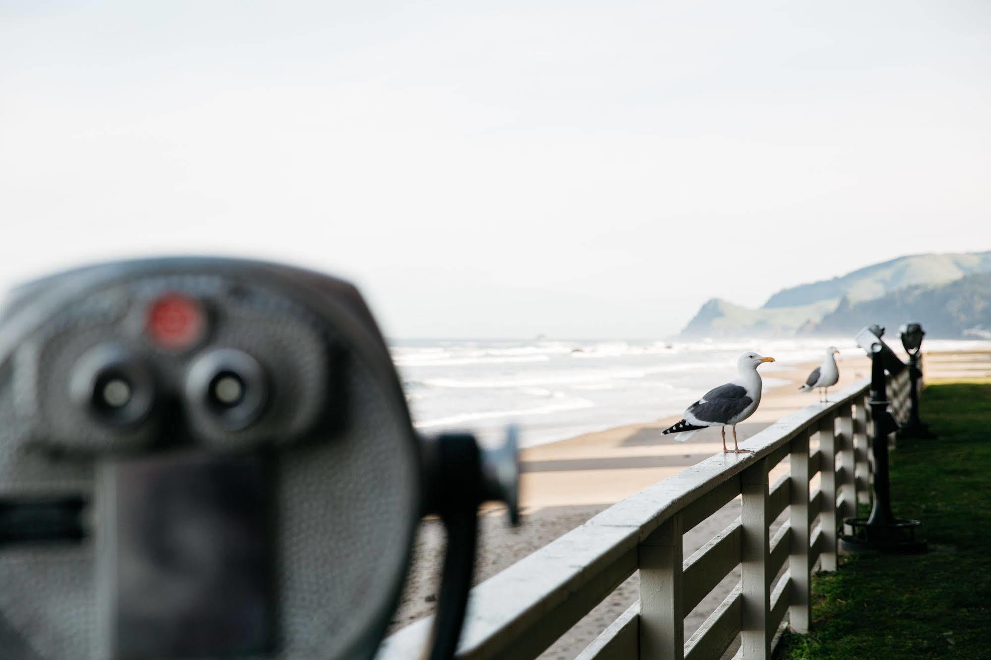 Surftides Hotel Lincoln City