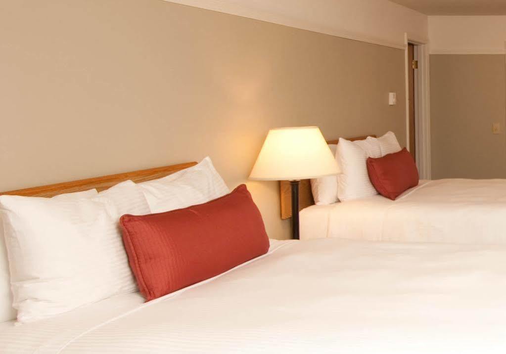 Inn Looking Glass